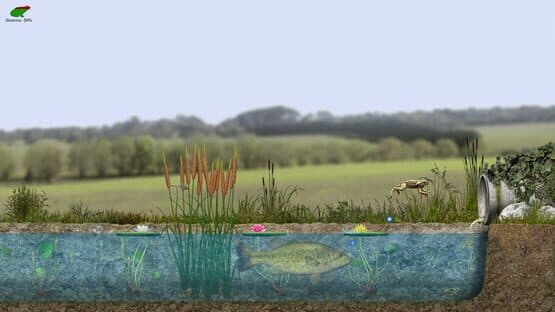A toad well travelled — screenshot 2