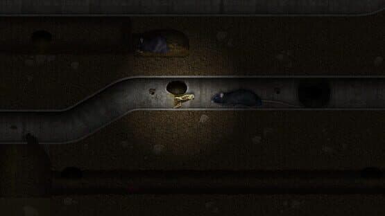 A toad well travelled — screenshot 3