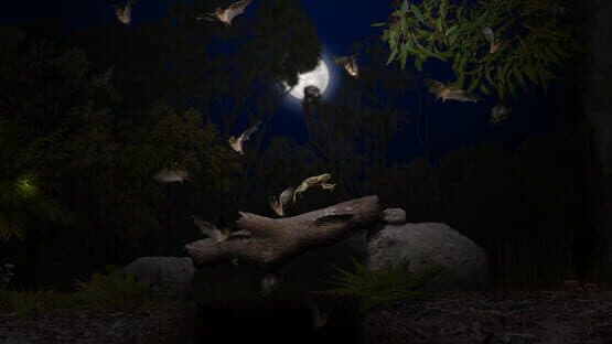 A toad well travelled — screenshot 6