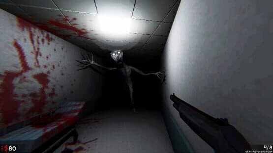 Flesh Everest — screenshot 2