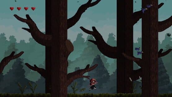 Animosa — screenshot 4