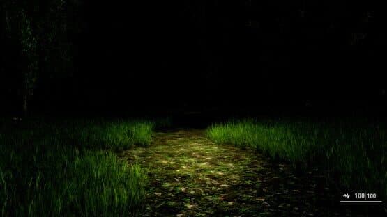 Alone Again: The Countryside — screenshot 1