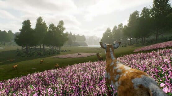 Deer Journey — screenshot 2