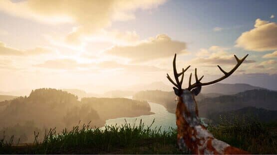 Deer Journey — screenshot 6