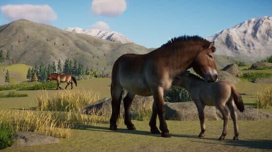 Planet Zoo: Conservation Pack — screenshot 1
