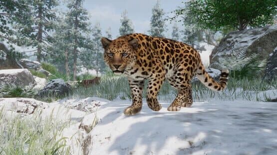 Planet Zoo: Conservation Pack — screenshot 5