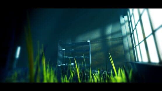 Acanthoceras — screenshot 1