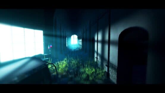 Acanthoceras — screenshot 2