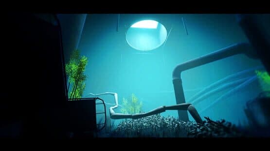 Acanthoceras — screenshot 4