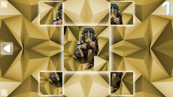 Poly Puzzle: Primates — screenshot 4