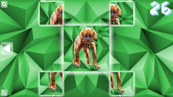 Poly Puzzle: Primates — screenshot 5