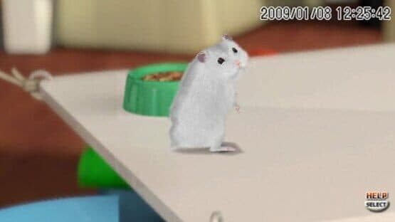 Petz Hamsterz Bunch — screenshot 2