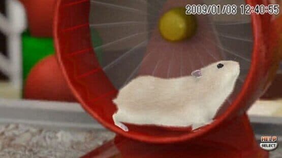 Petz Hamsterz Bunch — screenshot 3