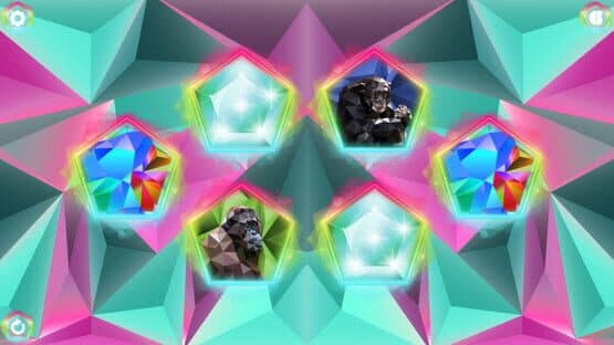 Poly Memory: Primates — screenshot 1