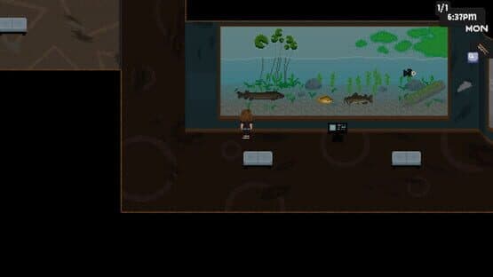 Fairmoon Museum — screenshot 5
