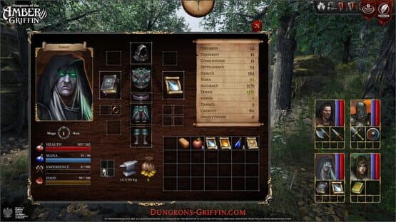 Dungeons of the Amber Griffin — screenshot 3