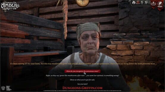 Dungeons of the Amber Griffin — screenshot 5