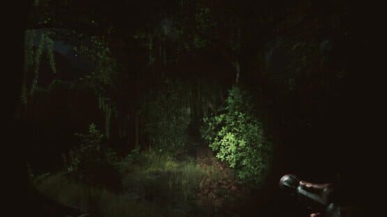 Forlorn: The mysteries of Highshadowland — screenshot 5