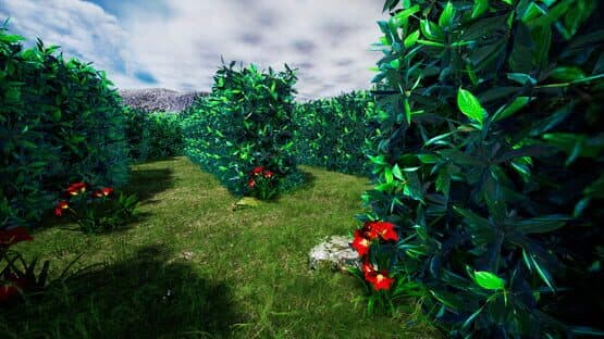 Limit's Escape Room Games 2 — screenshot 5