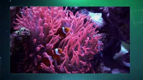 Puzzle Galaxy: Animal Album — screenshot 2