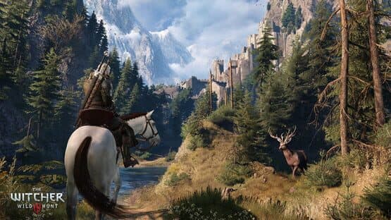 The Witcher 3: Wild Hunt — screenshot 8
