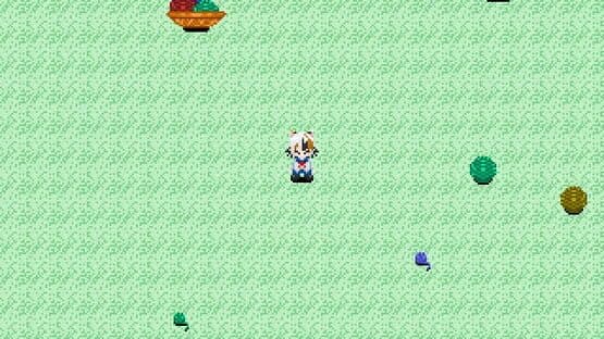 Neko Yume Douchuuki — screenshot 2