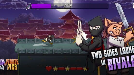 Ninja Ducks vs Pirate Pigs — screenshot 1
