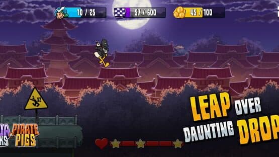 Ninja Ducks vs Pirate Pigs — screenshot 6
