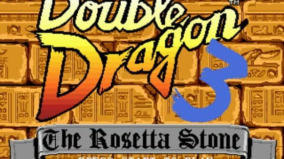 Double Dragon 3: The Arcade Game — screenshot 1
