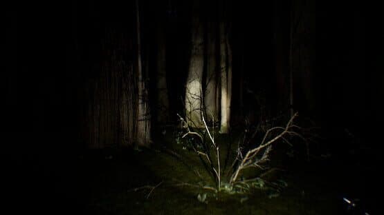 Search 4 Bigfoot — screenshot 1