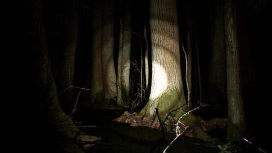 Search 4 Bigfoot — screenshot 3