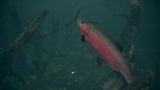 Ultimate Fishing Simulator 2 — screenshot 2