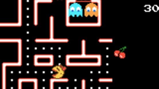 Ms. Pac-Man: Special Color Edition — screenshot 1