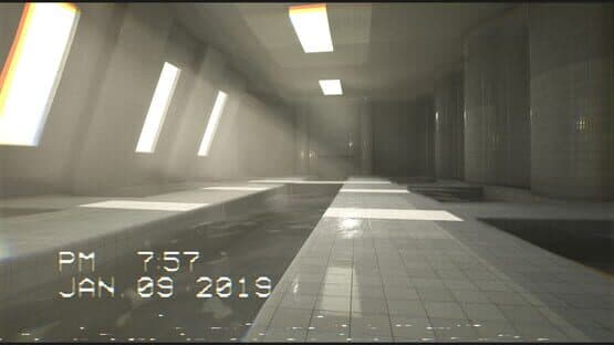The Backrooms Footage — screenshot 6
