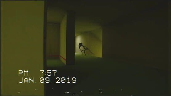 The Backrooms Footage — screenshot 8