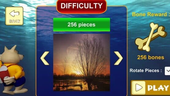 Jigsaw Puzzle: Belgium Through the Lens — screenshot 5