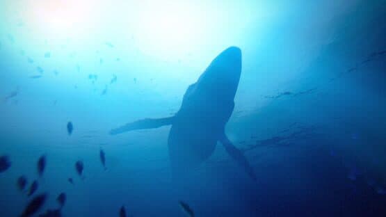 Under the Waves — screenshot 1
