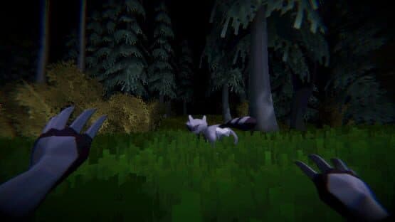 Coonwood — screenshot 1