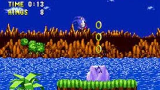 Sonic 1: South Island Expedition — screenshot 2