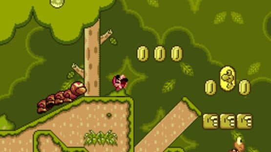 1st Kochobo Dourado — screenshot 1