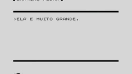 Aventuras na Selva — screenshot 3