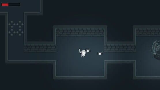 Wampir Dungeon — screenshot 1