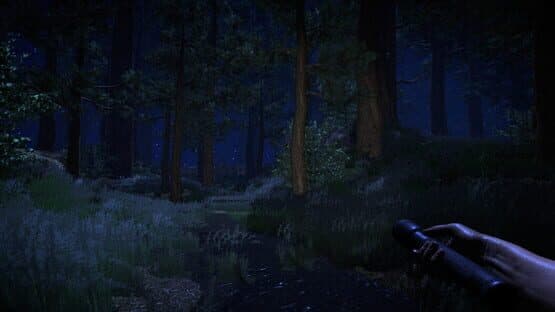 Deception — screenshot 2