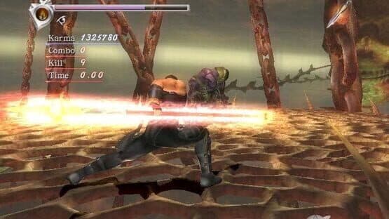 Ninja Gaiden Hurricane Pack II — screenshot 3