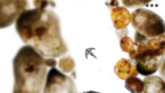 Microscopic — screenshot 6