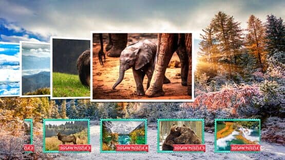 Nature & Wildlife: Jigsaw Puzzle - Expansion Pack 4 — screenshot 4
