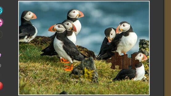 Nature & Wildlife: Jigsaw Puzzle - Expansion Pack 1 — screenshot 5