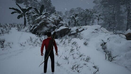 The Original Island — screenshot 5