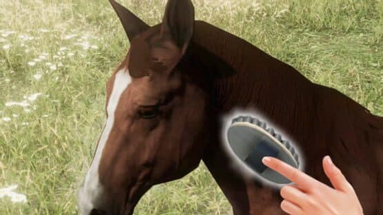 Real Horse 3D — screenshot 1