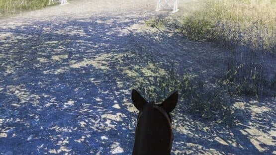 Real Horse 3D — screenshot 4